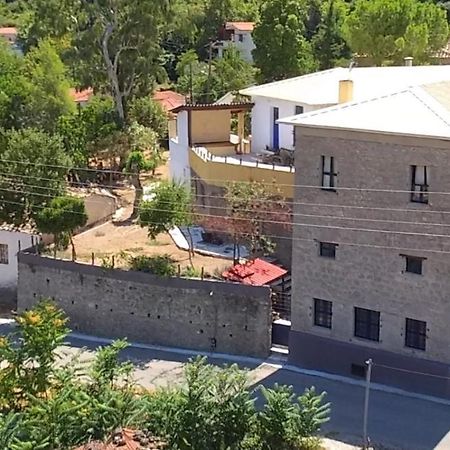 AegaeThe Old Olive Mill House别墅 外观 照片