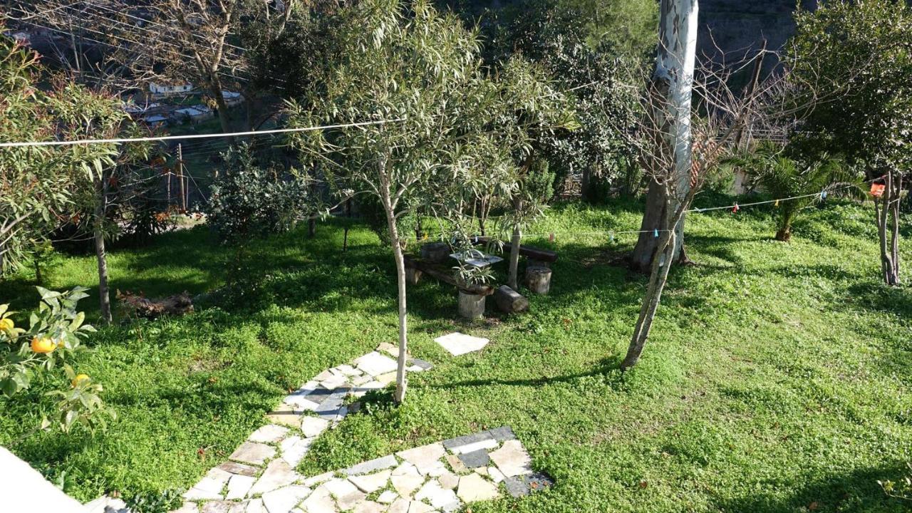 AegaeThe Old Olive Mill House别墅 外观 照片