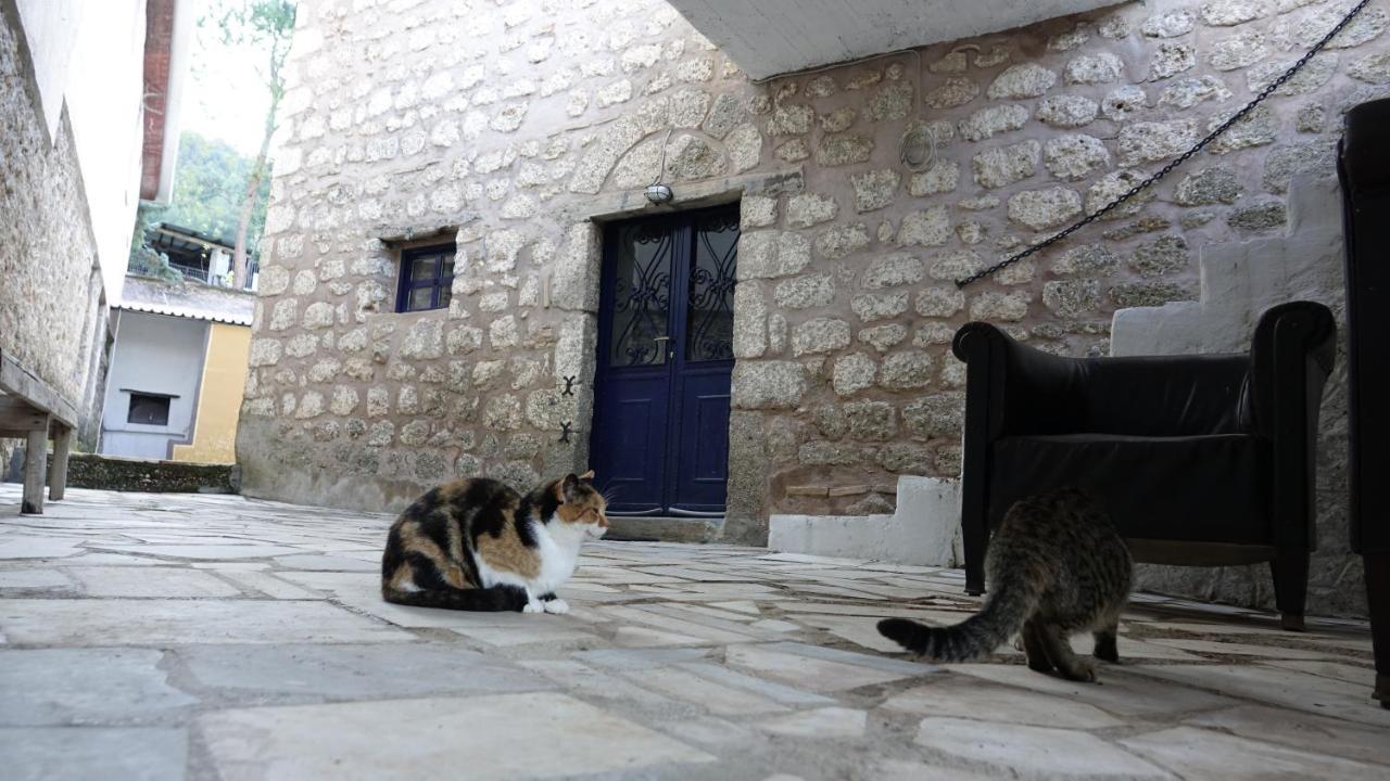 AegaeThe Old Olive Mill House别墅 外观 照片